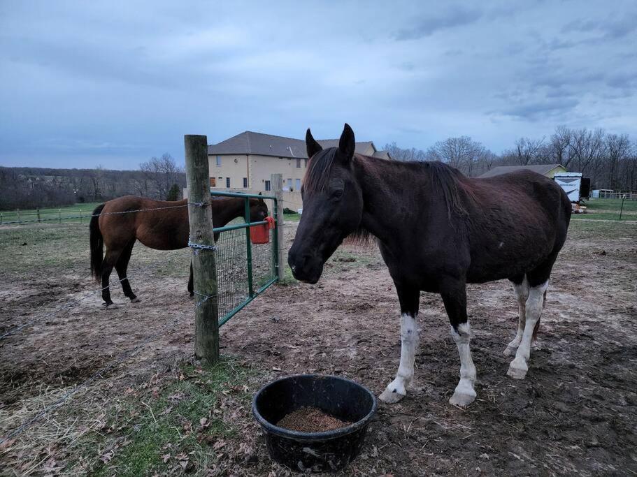 Deer Run Estate Llc Otel Marshfield Dış mekan fotoğraf